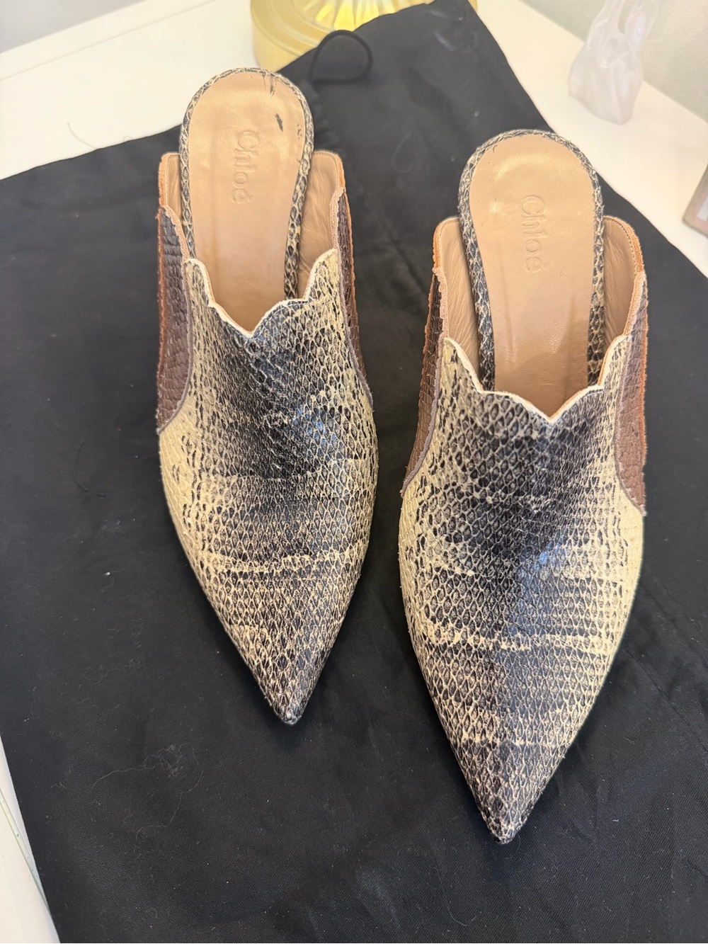 Chloé Snakeskin Pointed-Toe Mules – Made in Italy – Size 36.5
